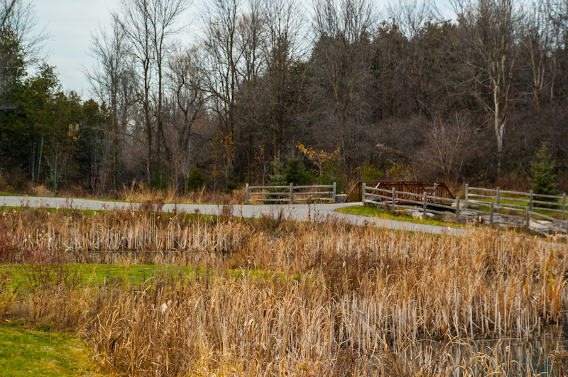 Wetland & Retention Ponds - Davis Landscape & Design